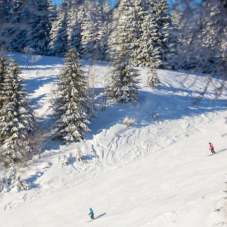 Chic T3 60 M2 Cosy 1 A 6 Personnes Rando, Nature, Bike Park, Station De Ski Le Bonhomme Eksteriør bilde